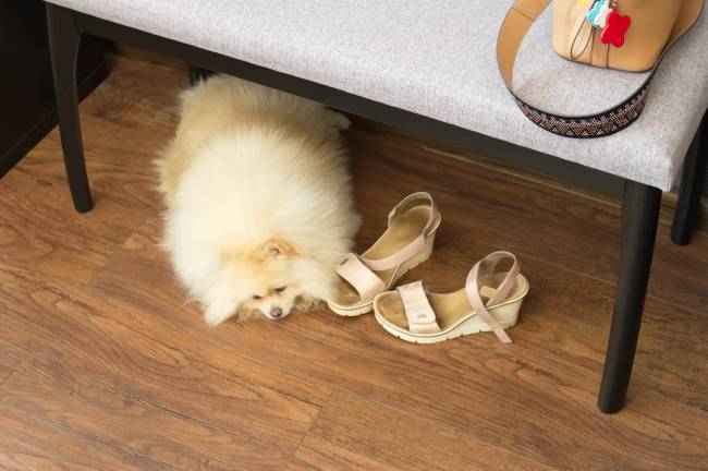 Банкетка Лина, мягкая, Венге/Серый Банкетка Лина, мягкая, Венге/Серый